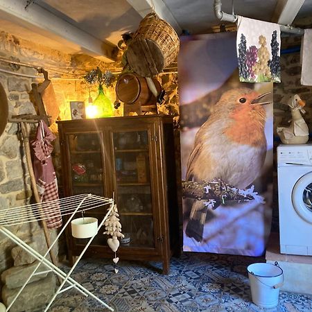 Bed and Breakfast La Pecora E L Agnello Caprese Michelangelo Exterior foto
